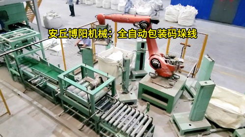 碳酸钙粉全自动包装码垛线 50kg粉料全自动包装码垛机械手