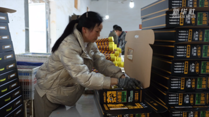 浏阳:春节将近赶制花炮