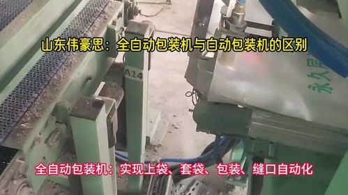粉料全自动包装机 人工上袋自动包装秤的区别