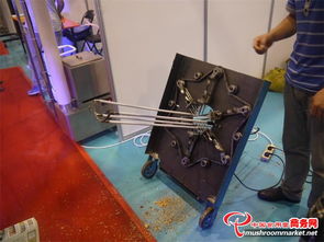 3000多项食用菌产品技术亮相青岛会展