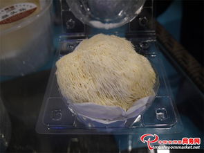 3000多项食用菌产品技术亮相青岛会展