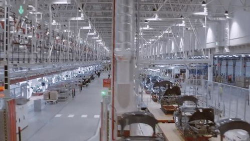 当马斯克被 中国速度 加持 特斯拉上海超级工厂首度曝光,2年工期缩至8个月