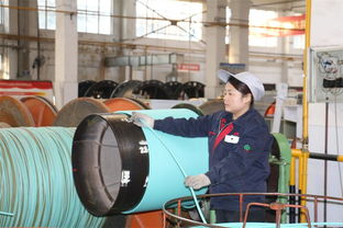 西橡连续四年位列橡胶行业百强企业