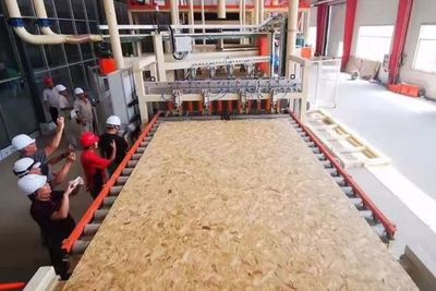 单县:国际领先!世界上最全面板材种类,打造全球第一薄